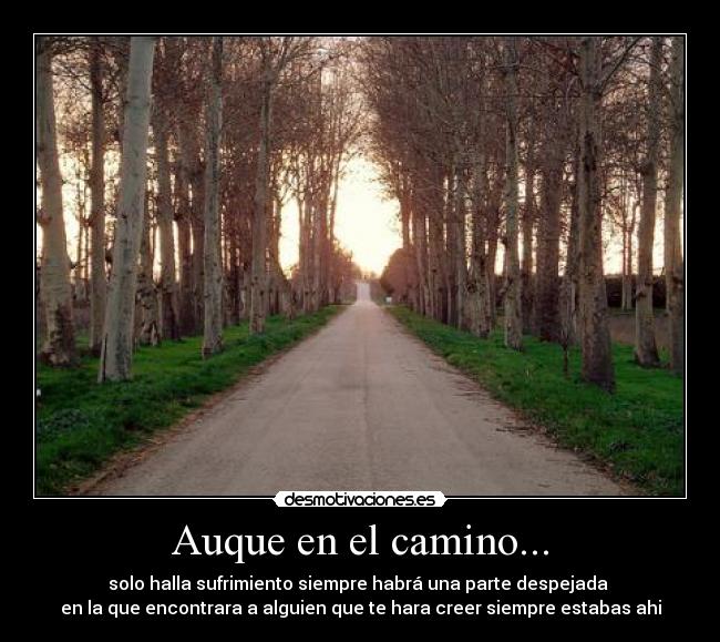 carteles camino agridulce desmotivaciones