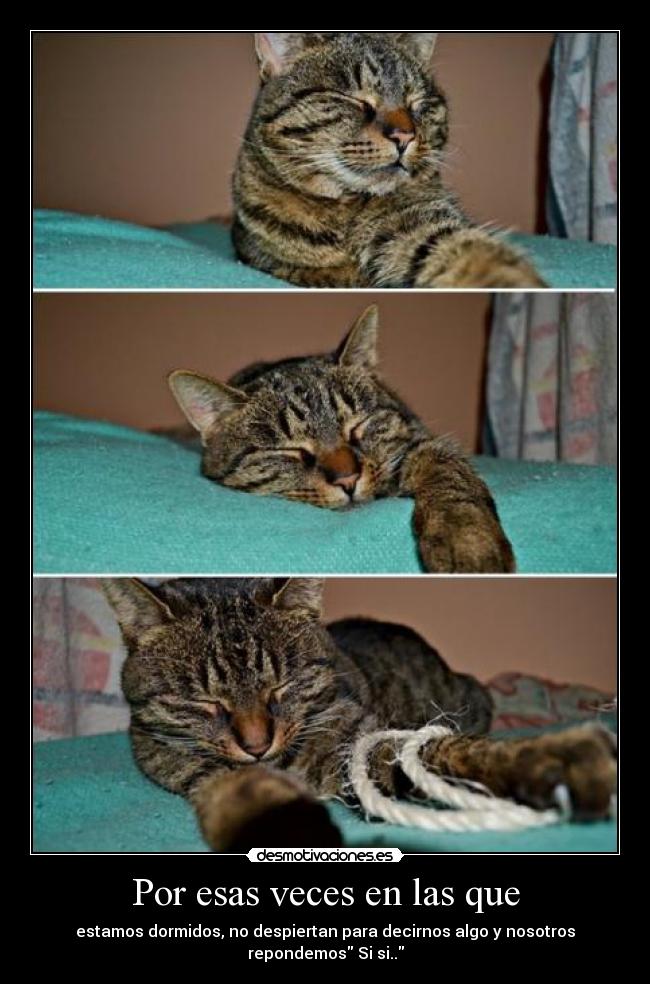 Por esas veces en las que - 