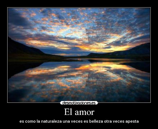 El amor -