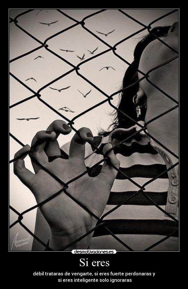 Si eres - débil trataras de vengarte, si eres fuerte perdonaras y
si eres inteligente solo ignoraras