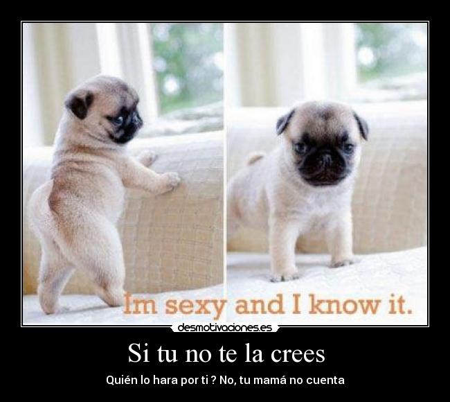 carteles iam sexy and know desmotivaciones