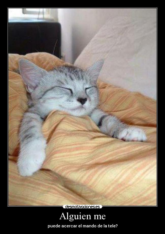 carteles billyelcojo desmotivaciones