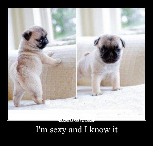 Im sexy and I know it -