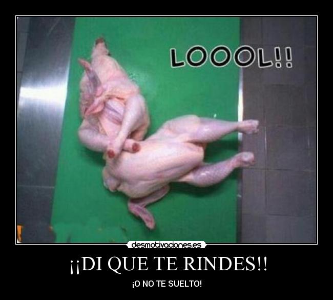¡¡DI QUE TE RINDES!! - 
