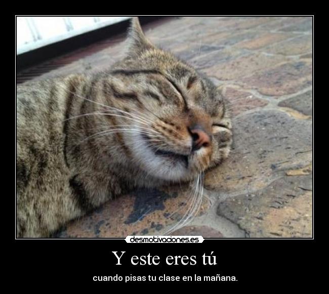 Y este eres tú - cuando pisas tu clase en la mañana.