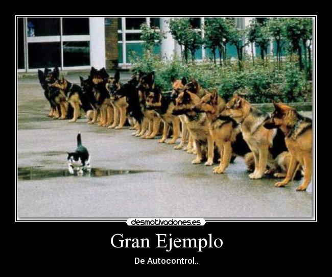 Gran Ejemplo - De Autocontrol..