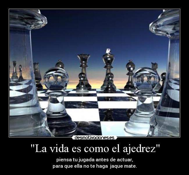 carteles vida vida desmotivaciones