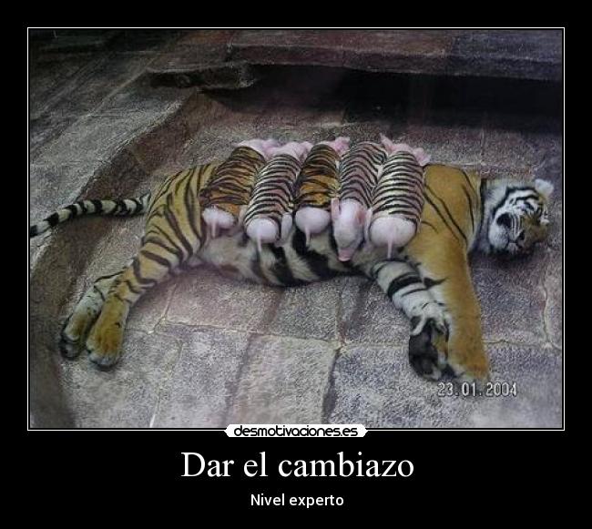 Dar el cambiazo - Nivel experto