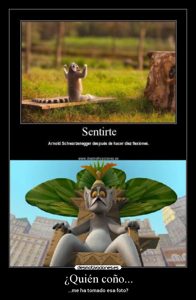 ¿Quién coño... - ...me ha tomado esa foto?