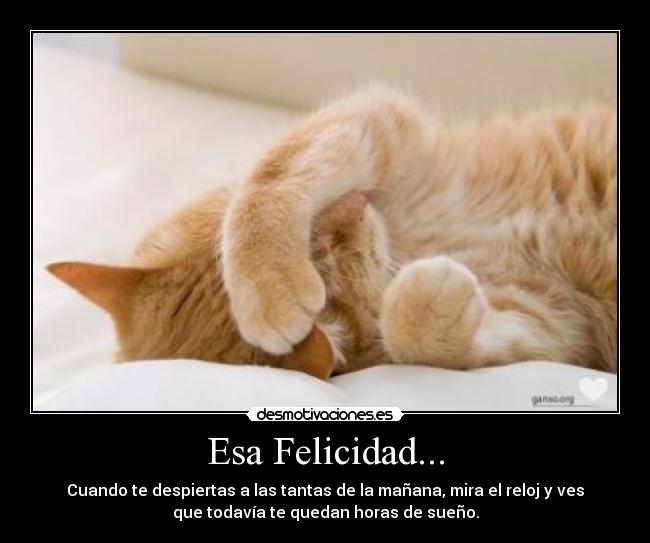 Esa Felicidad... - 