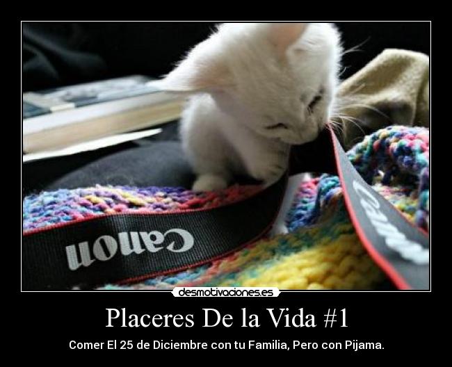 Placeres De la Vida #1 -
