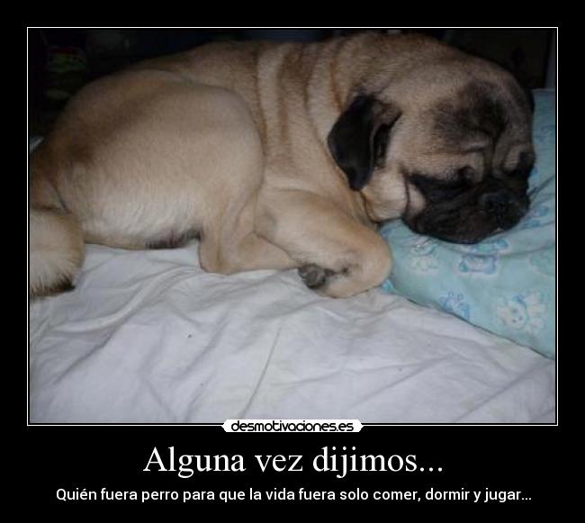 Alguna vez dijimos... -