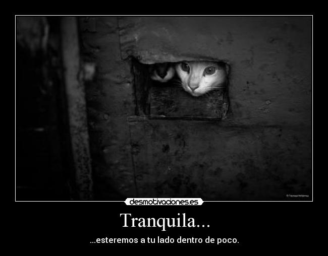 Tranquila... - ...esteremos a tu lado dentro de poco.