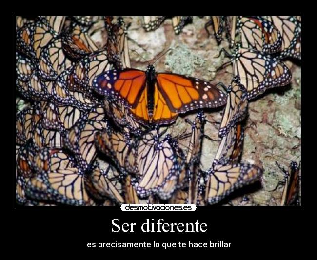 Ser diferente - es precisamente lo que te hace brillar