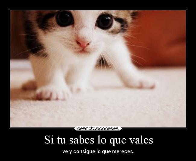 Si tu sabes lo que vales - ve y consigue lo que mereces.