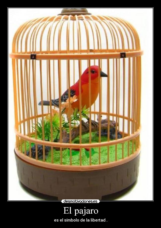 El pajaro -