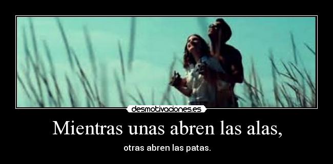 Mientras unas abren las alas, -