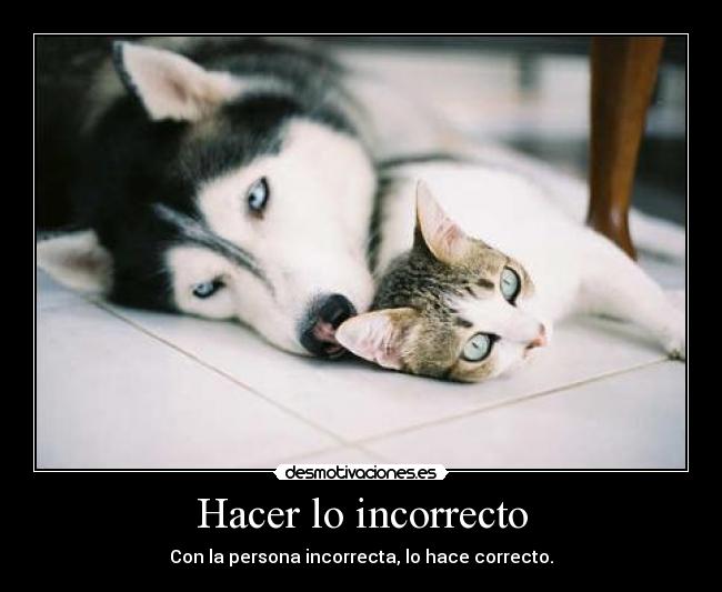 Hacer lo incorrecto - 