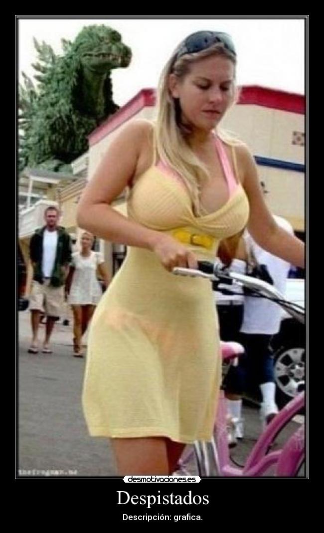 Despistados - Descripción: grafica.