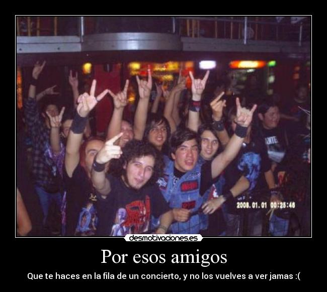 Por esos amigos - Que te haces en la fila de un concierto, y no los vuelves a ver jamas :(
