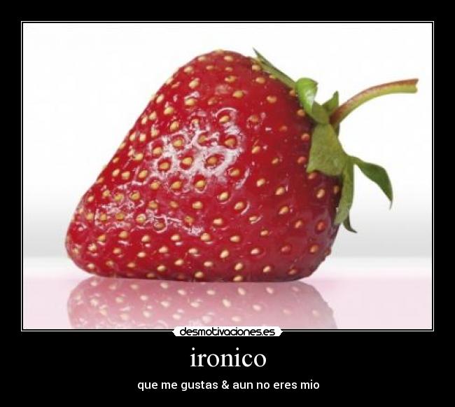 carteles mio desmotivaciones