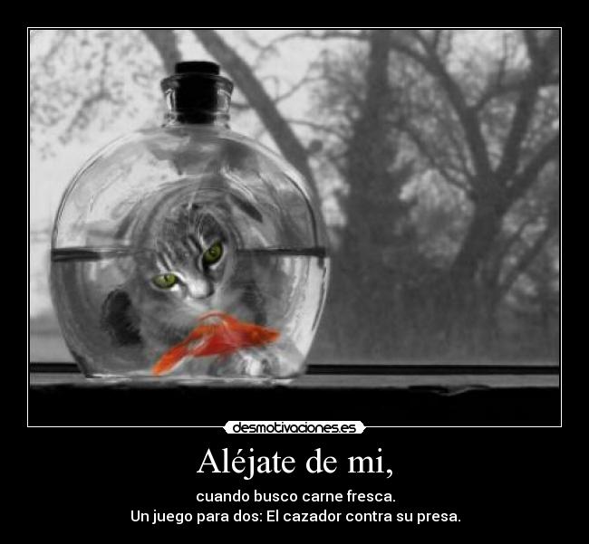 Aléjate de mi, - cuando busco carne fresca.
Un juego para dos: El cazador contra su presa.