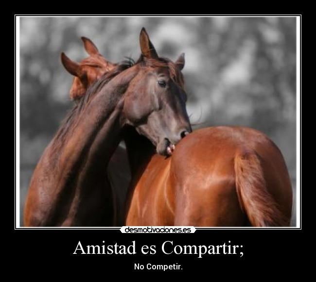 Amistad es Compartir; - No Competir.