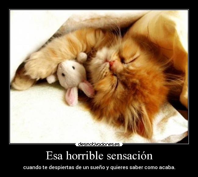 Esa horrible sensación - cuando te despiertas de un sueño y quieres saber como acaba.