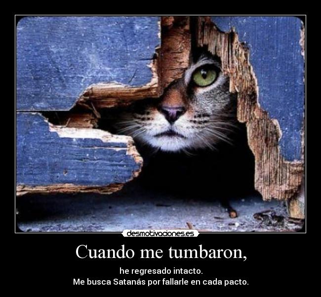 Cuando me tumbaron, - he regresado intacto.
Me busca Satanás por fallarle en cada pacto.