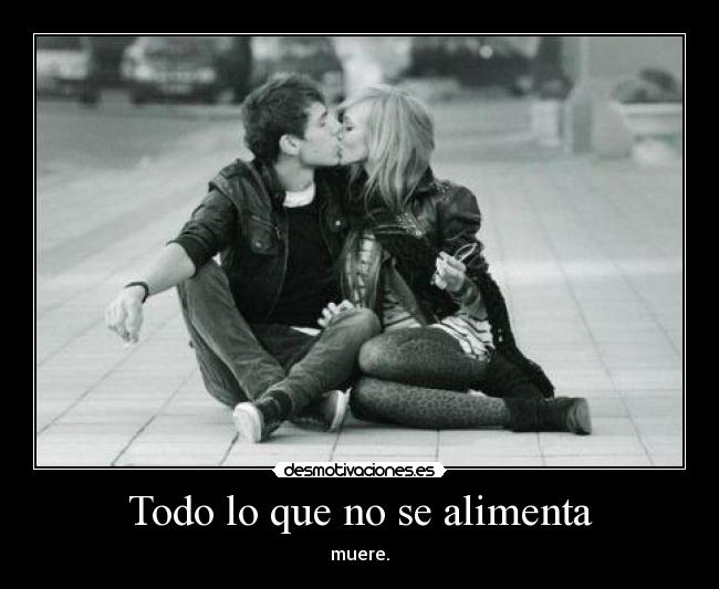 Todo lo que no se alimenta - 