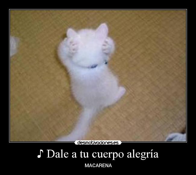 ♪ Dale a tu cuerpo alegría -