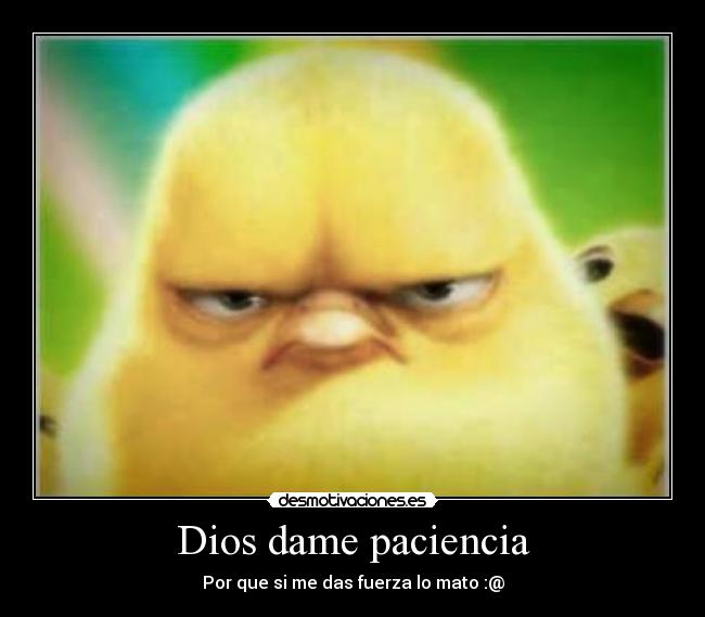 Dios dame paciencia - 