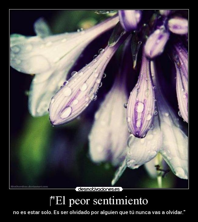 carteles hola desmotivaciones