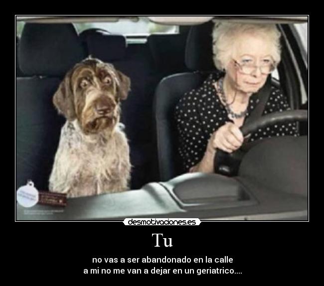 Tu - no vas a ser abandonado en la calle
a mi no me van a dejar en un geriatrico....