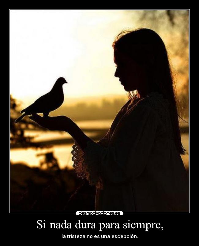 carteles desmotivaciones