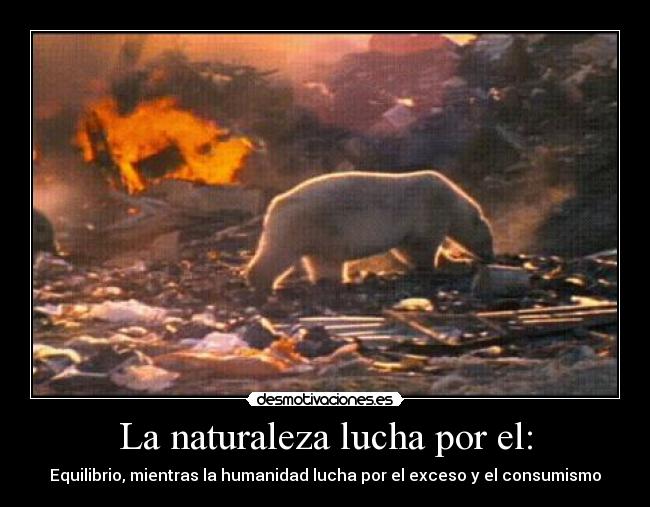 La naturaleza lucha por el: - 