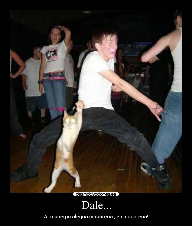 Dale... - A tu cuerpo alegría macarena , eh macarena!