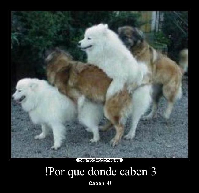!Por que donde caben 3 - Caben 4!