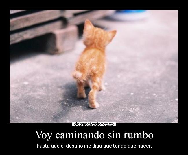 Voy caminando sin rumbo -