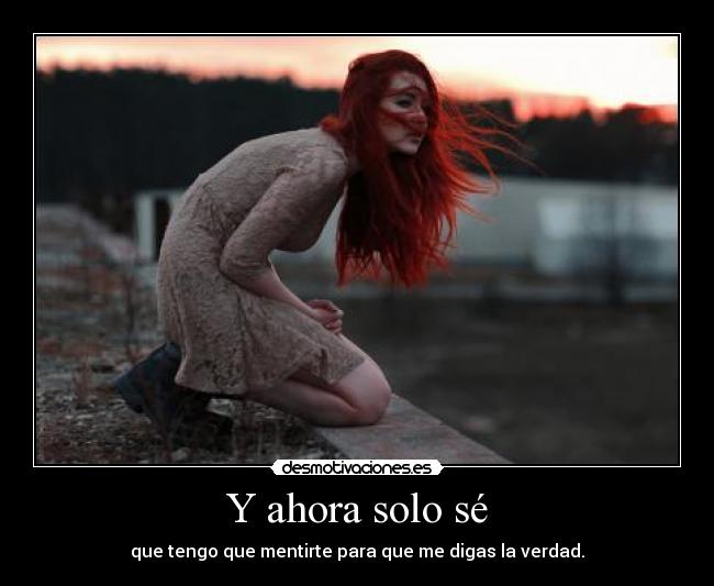 carteles mentiras verdades quiero mentirte desmotivaciones