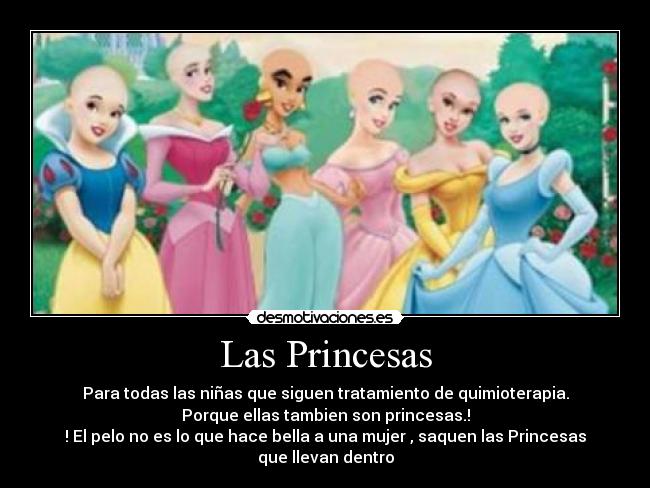 Las Princesas - Para todas las niñas que siguen tratamiento de quimioterapia.
Porque ellas tambien son princesas.!
! El pelo no es lo que hace bella a una mujer , saquen las Princesas que llevan dentro