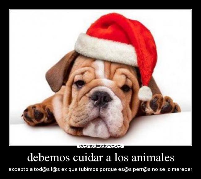 debemos cuidar a los animales - excepto a tod@s l@s ex que tubimos porque es@s perr@s no se lo merecen