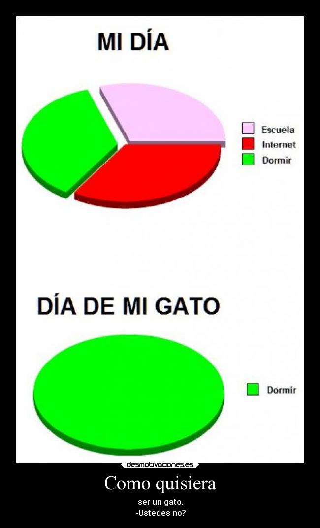 Como quisiera - ser un gato.
-Ustedes no?