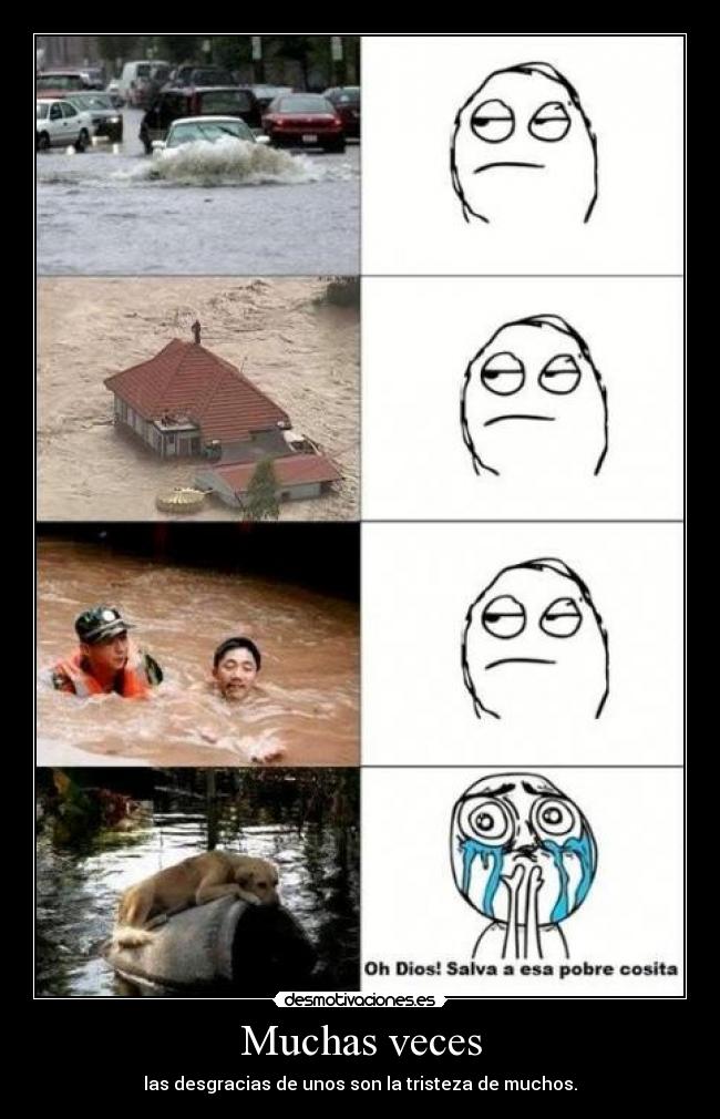 carteles pobre perrito desmotivaciones