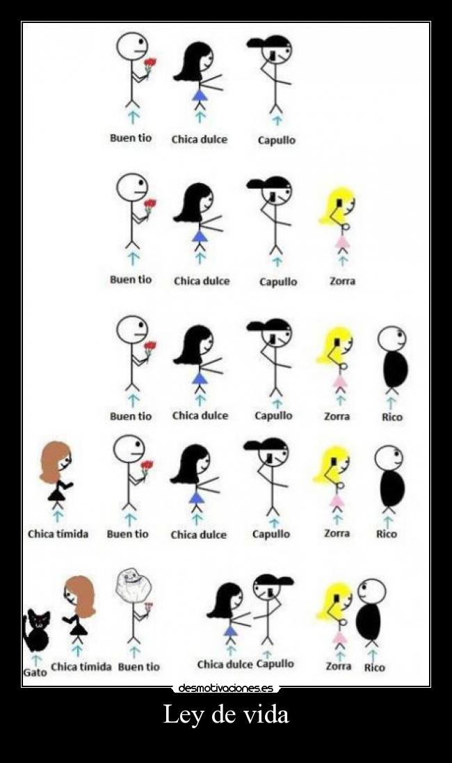 Ley de vida -