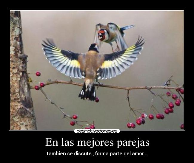 En las mejores parejas - tambien se discute , forma parte del amor...