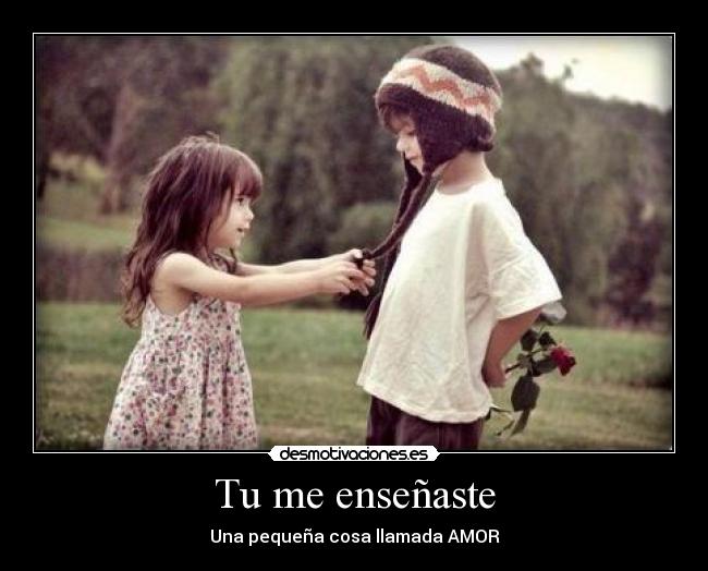 Tu me enseñaste - 
