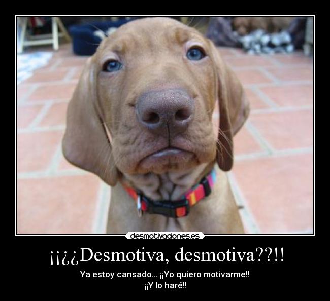 ¡¡¿¿Desmotiva, desmotiva??!! - Ya estoy cansado... ¡¡Yo quiero motivarme!!
¡¡Y lo haré!!