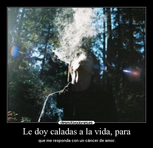 Le doy caladas a la vida, para - que me responda con un cáncer de amor.