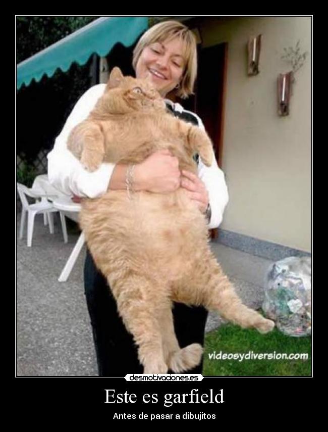 Este es garfield - 